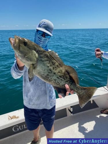 Click to Enlarge Photo