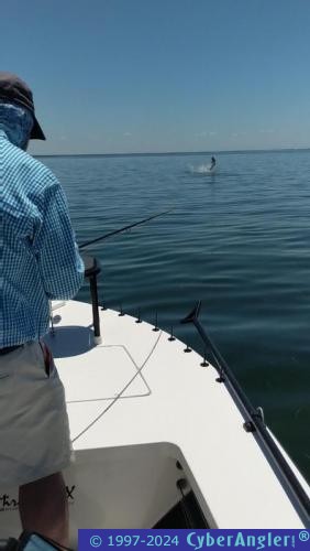 Click to Enlarge Photo