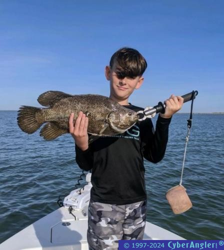 Click to Enlarge Photo