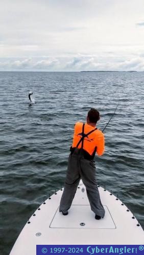 Click to Enlarge Photo