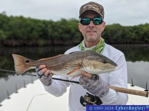 Click to Enlarge Photo