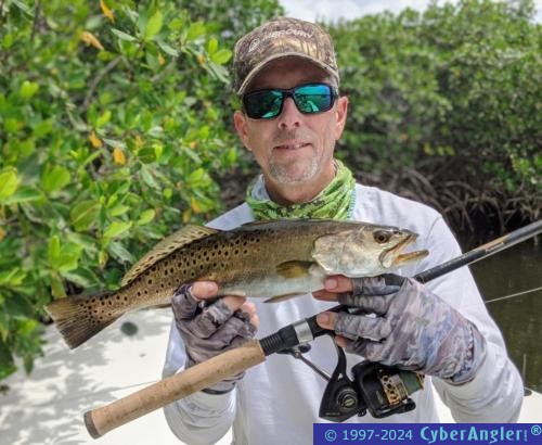 Click to Enlarge Photo