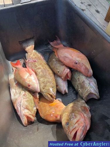 Click to Enlarge Photo