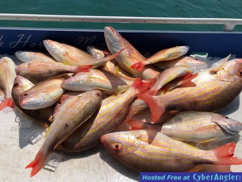 Click to Enlarge Photo