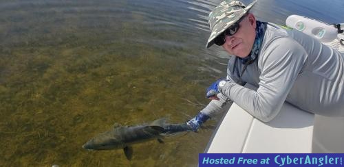 Click to Enlarge Photo