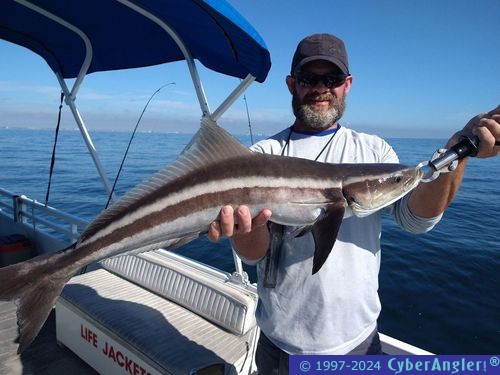 Click to Enlarge Photo