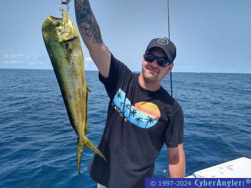 Click to Enlarge Photo