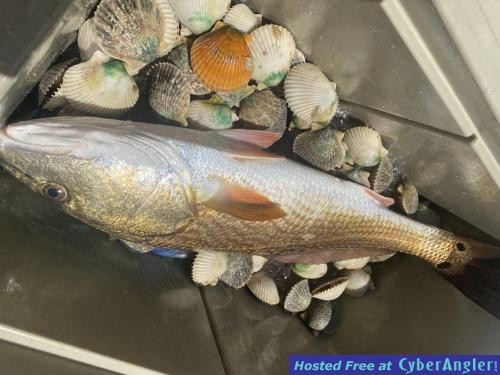 Click to Enlarge Photo