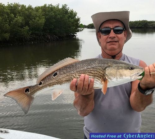 Click to Enlarge Photo