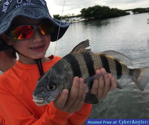 Click to Enlarge Photo