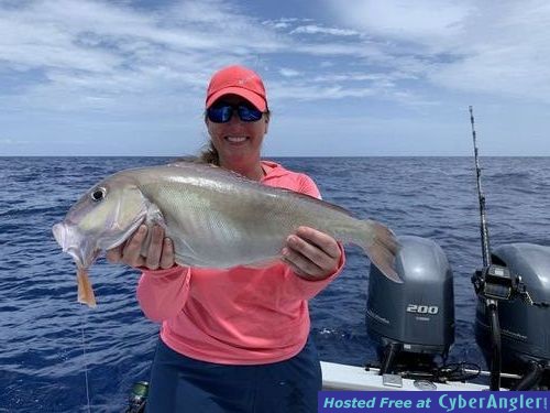 Click to Enlarge Photo