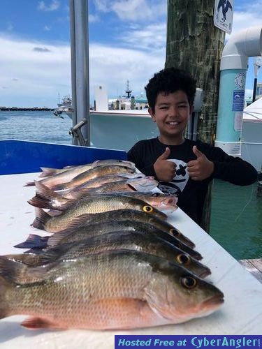 Click to Enlarge Photo