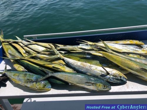 Click to Enlarge Photo