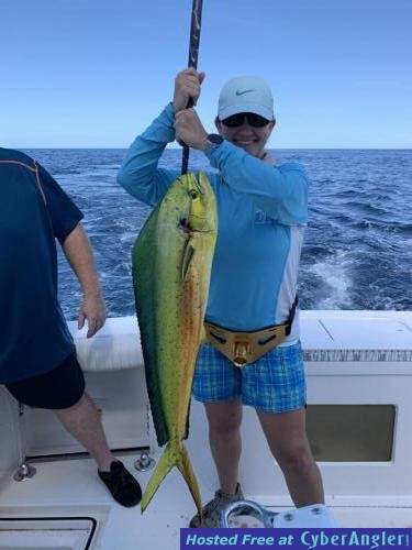 Click to Enlarge Photo