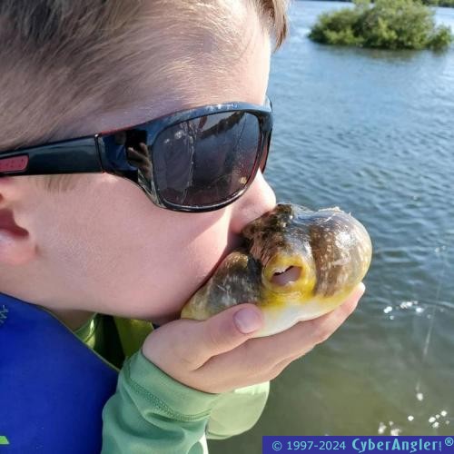 Click to Enlarge Photo