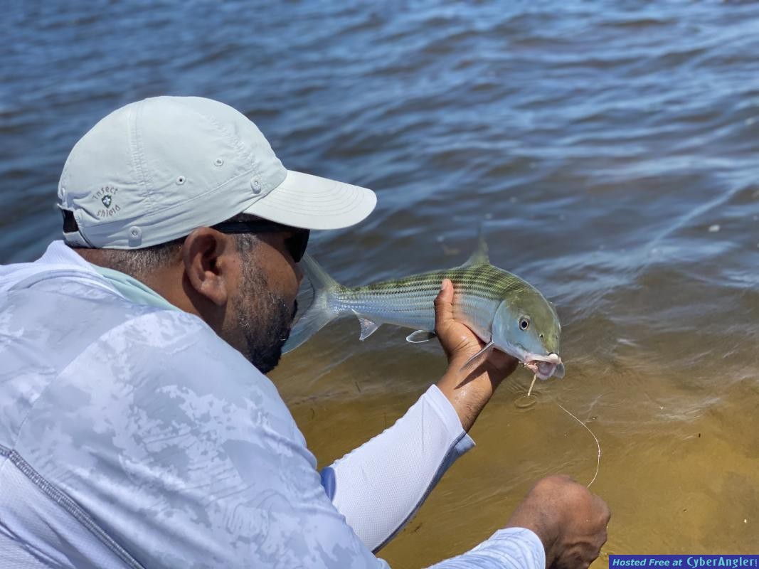 Click to Enlarge Photo