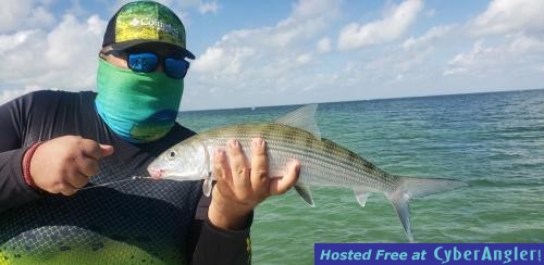 Click to Enlarge Photo