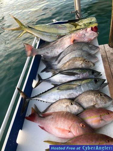 Click to Enlarge Photo