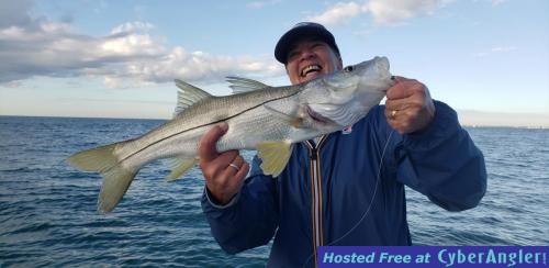 Click to Enlarge Photo