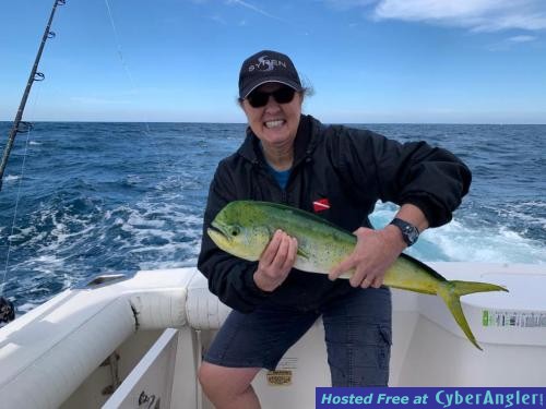 Click to Enlarge Photo