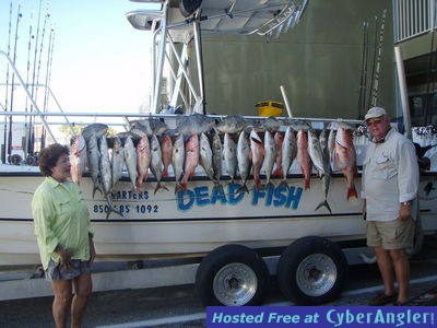 Click to Enlarge Photo