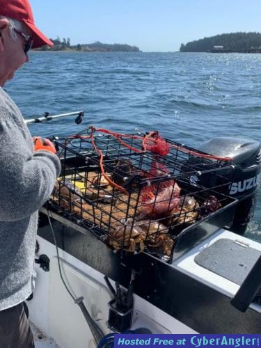 Click to Enlarge Photo