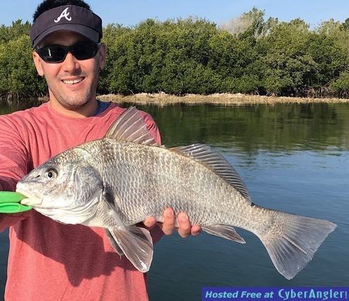 Click to Enlarge Photo