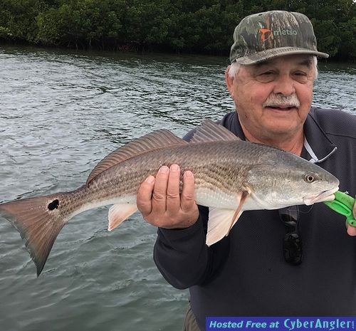 Click to Enlarge Photo