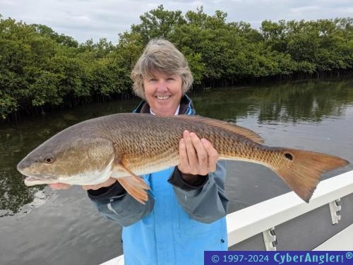 Click to Enlarge Photo