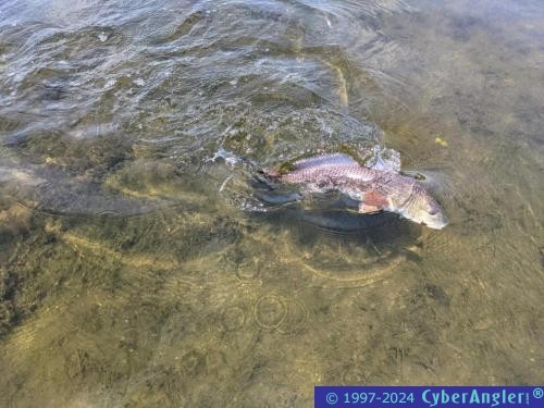 Click to Enlarge Photo