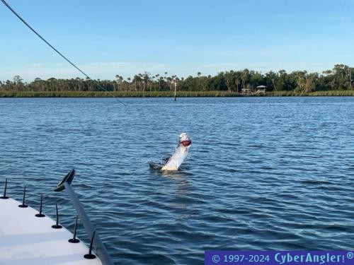 Click to Enlarge Photo