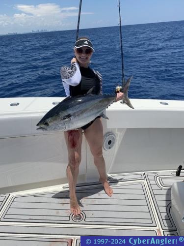 Click to Enlarge Photo