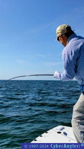 Click to Enlarge Photo