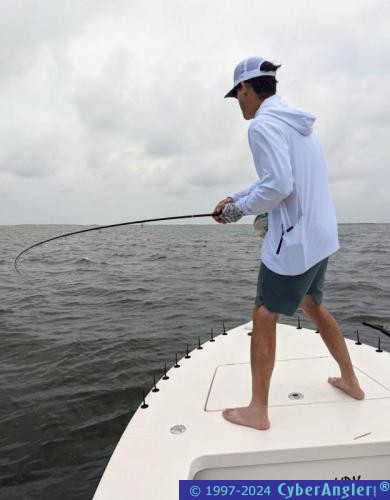 Click to Enlarge Photo