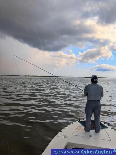 Click to Enlarge Photo