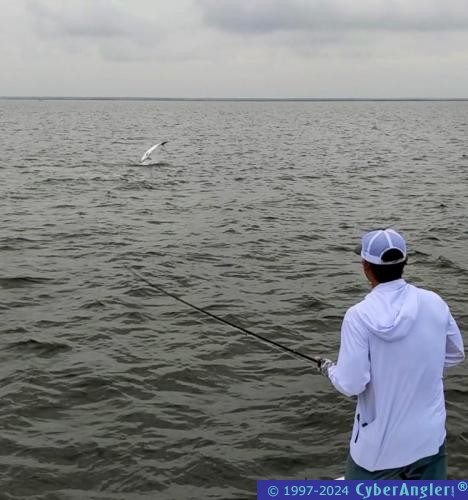 Click to Enlarge Photo