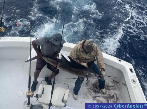 Click to Enlarge Photo