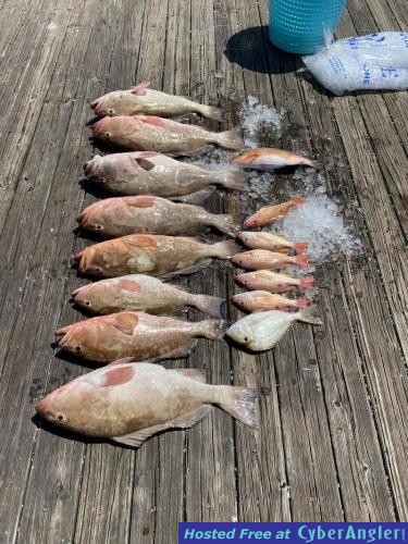 Click to Enlarge Photo