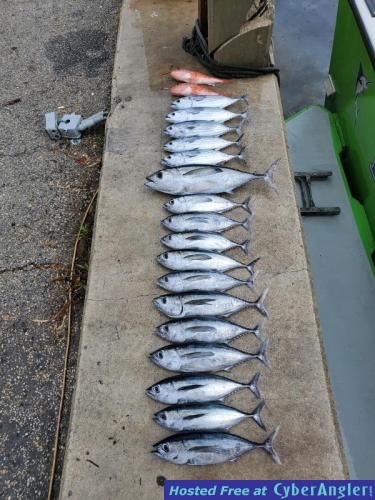 Click to Enlarge Photo