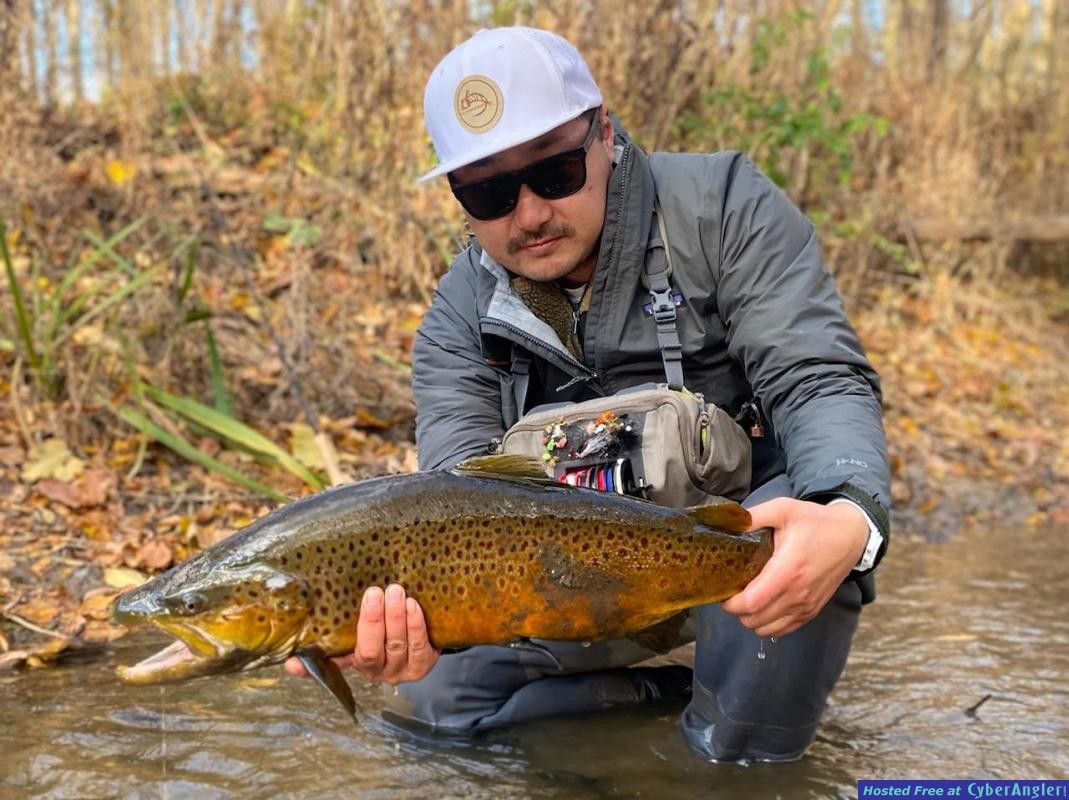 Click to Enlarge Photo