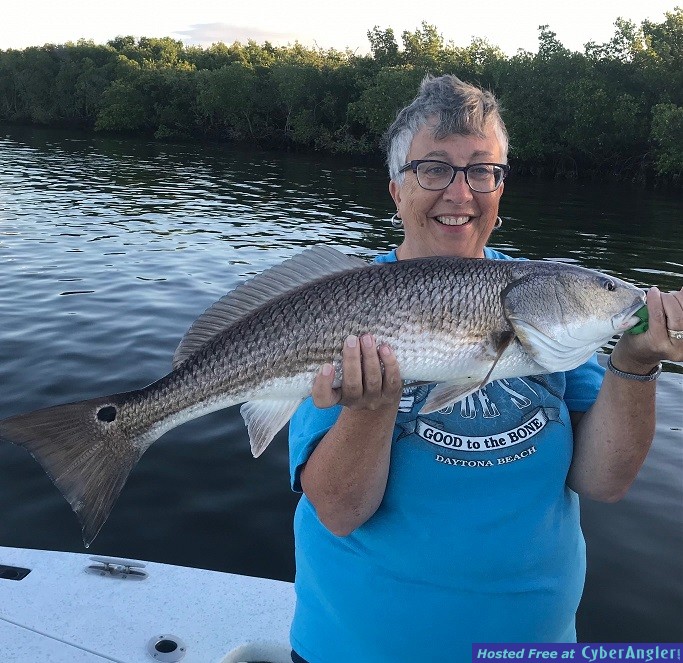 Click to Enlarge Photo