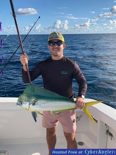 Click to Enlarge Photo