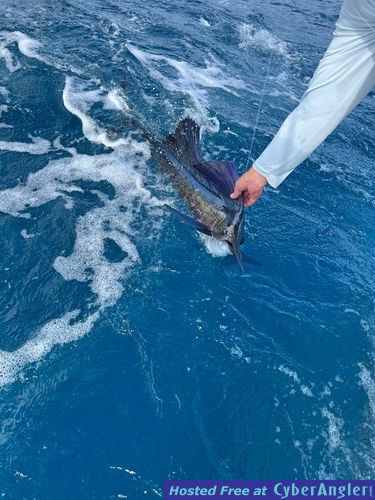 Click to Enlarge Photo