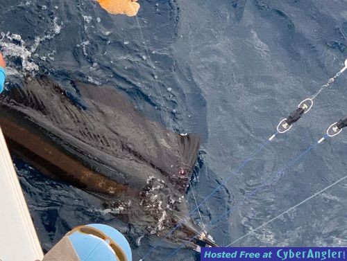 Click to Enlarge Photo