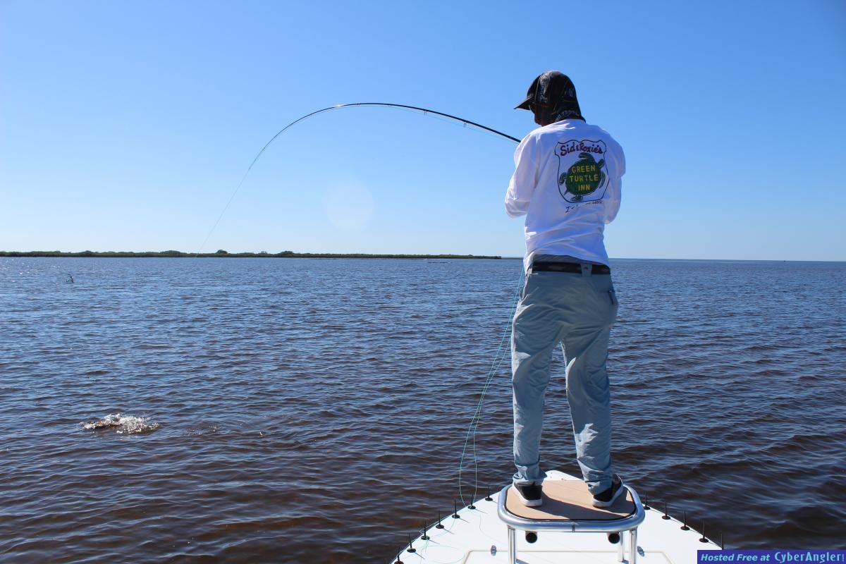 Click to Enlarge Photo