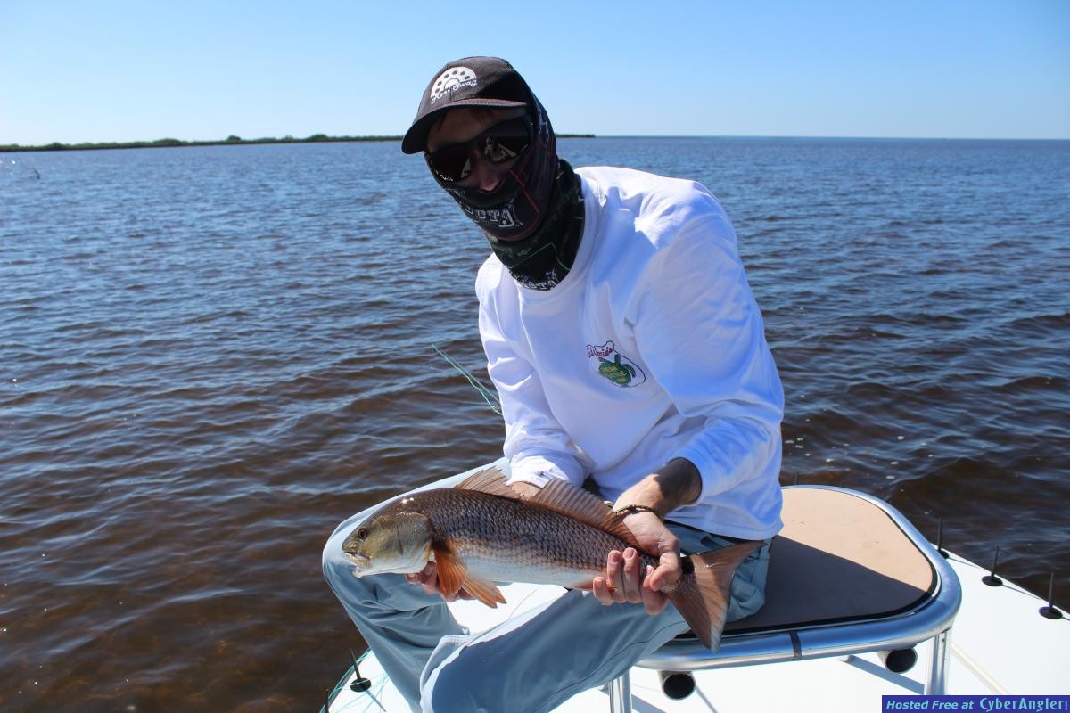 Click to Enlarge Photo