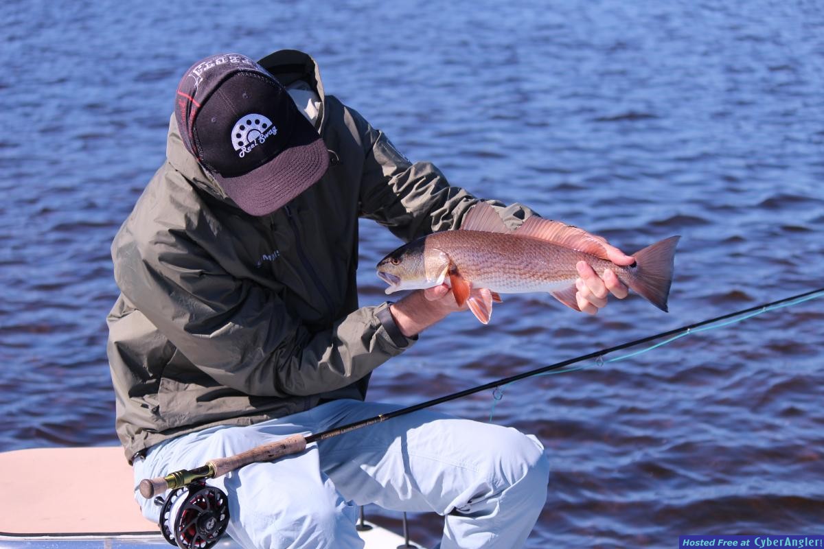 Click to Enlarge Photo