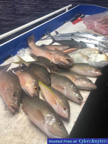 Click to Enlarge Photo