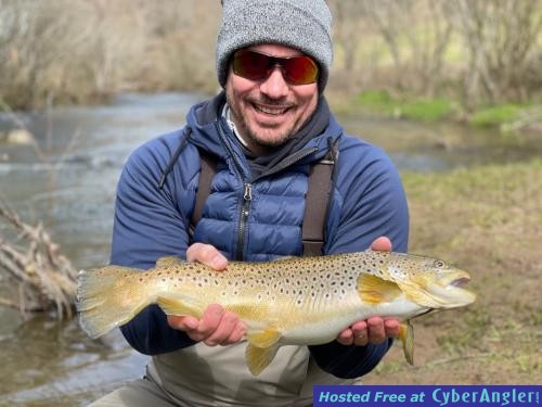 Click to Enlarge Photo