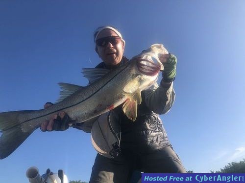 Click to Enlarge Photo